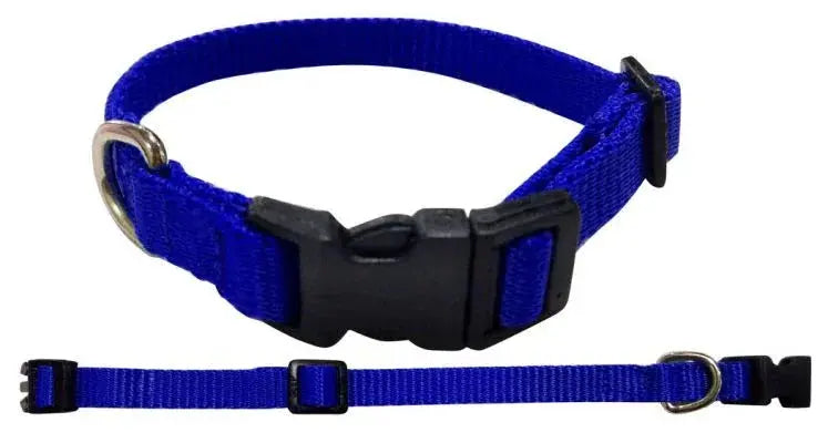 Nylon Dog Collar with Snap Buckle