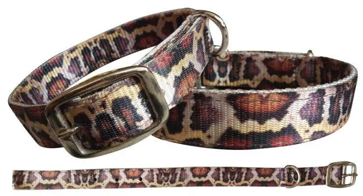 Python designed nylon dog collar.