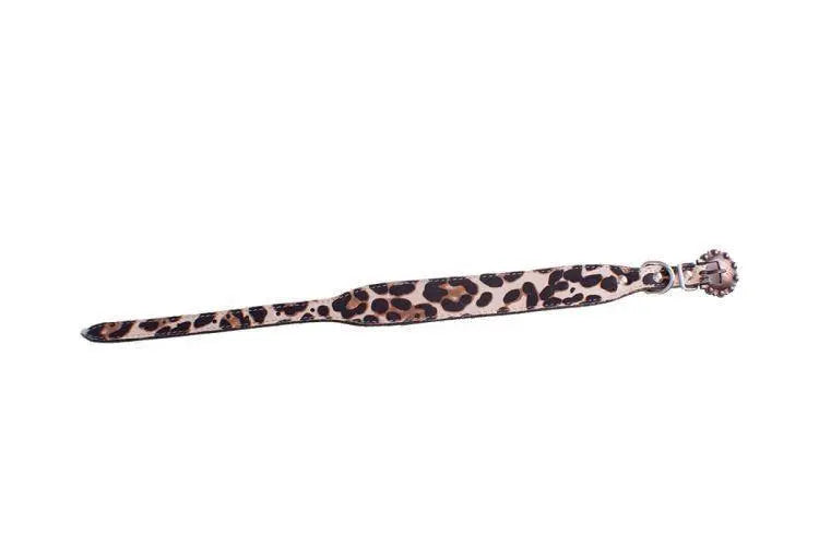 Leather Dog Collar Leopard Print