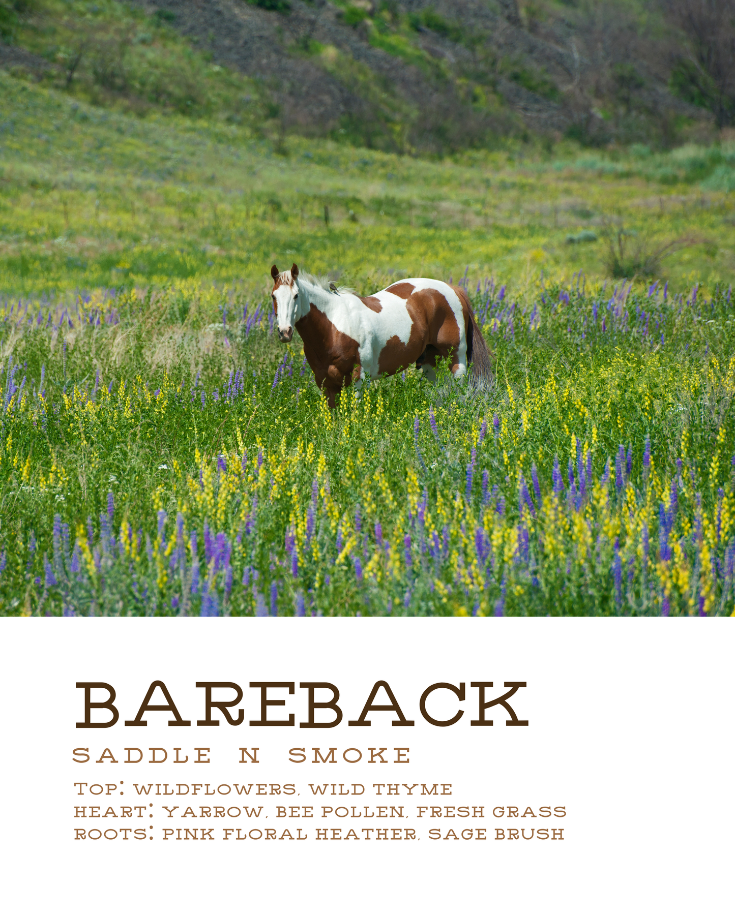Bareback