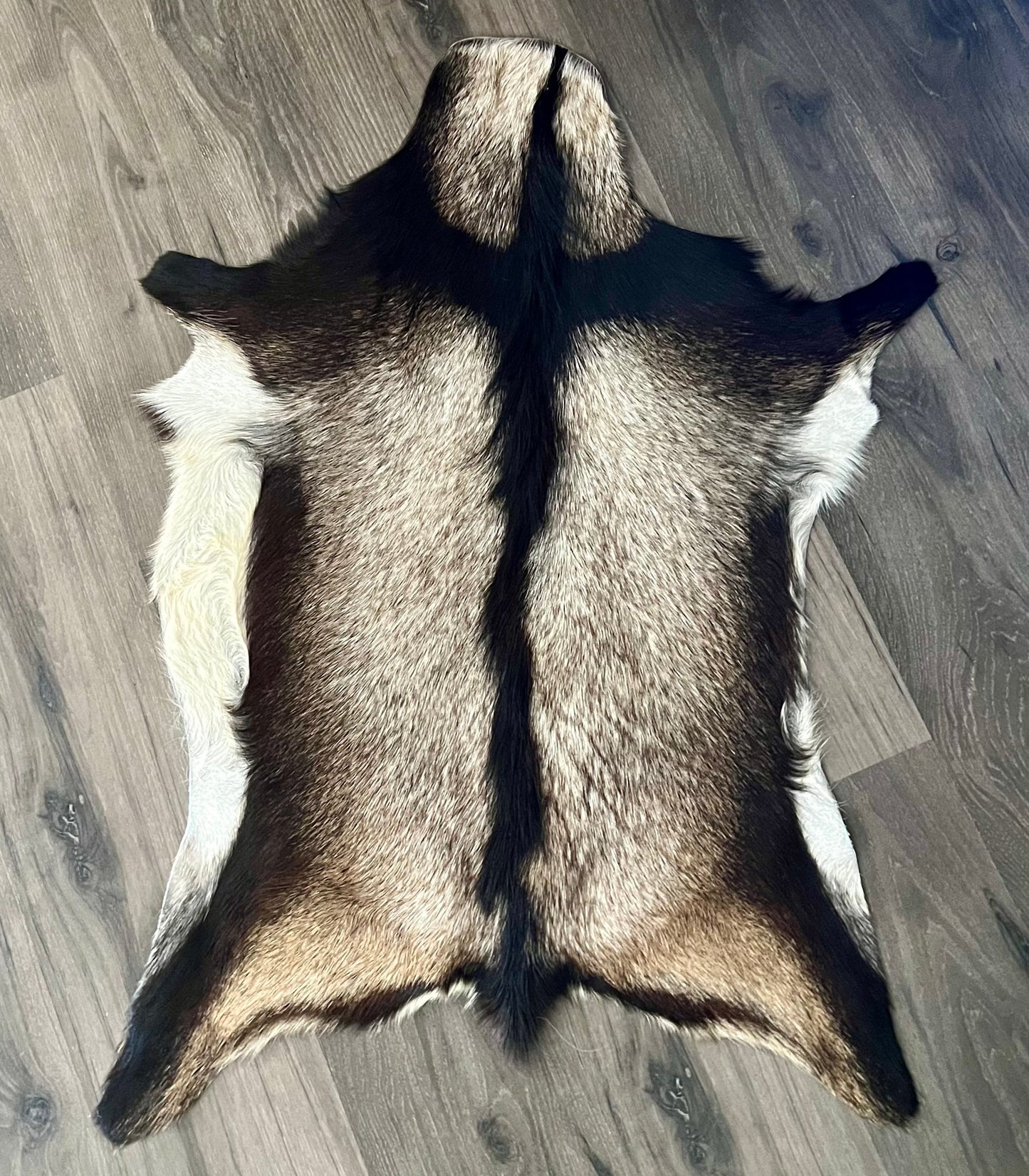 Silver Black and White Goat Skin