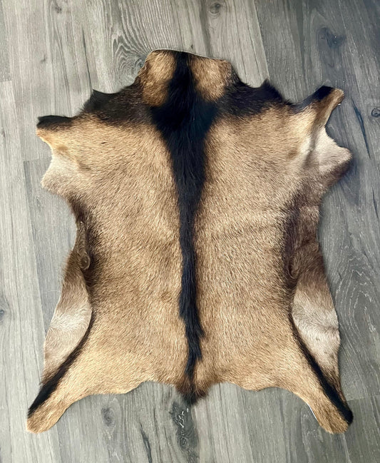 Tan and Black Goat Skin