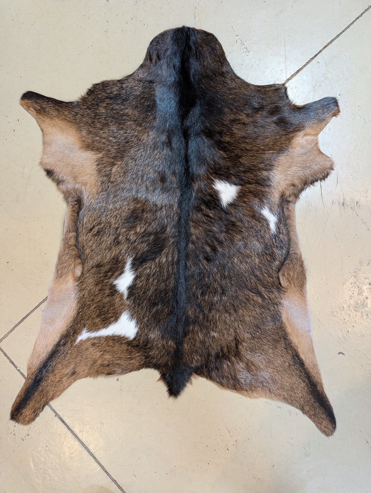 Genuine Goat Hide "Sherman"