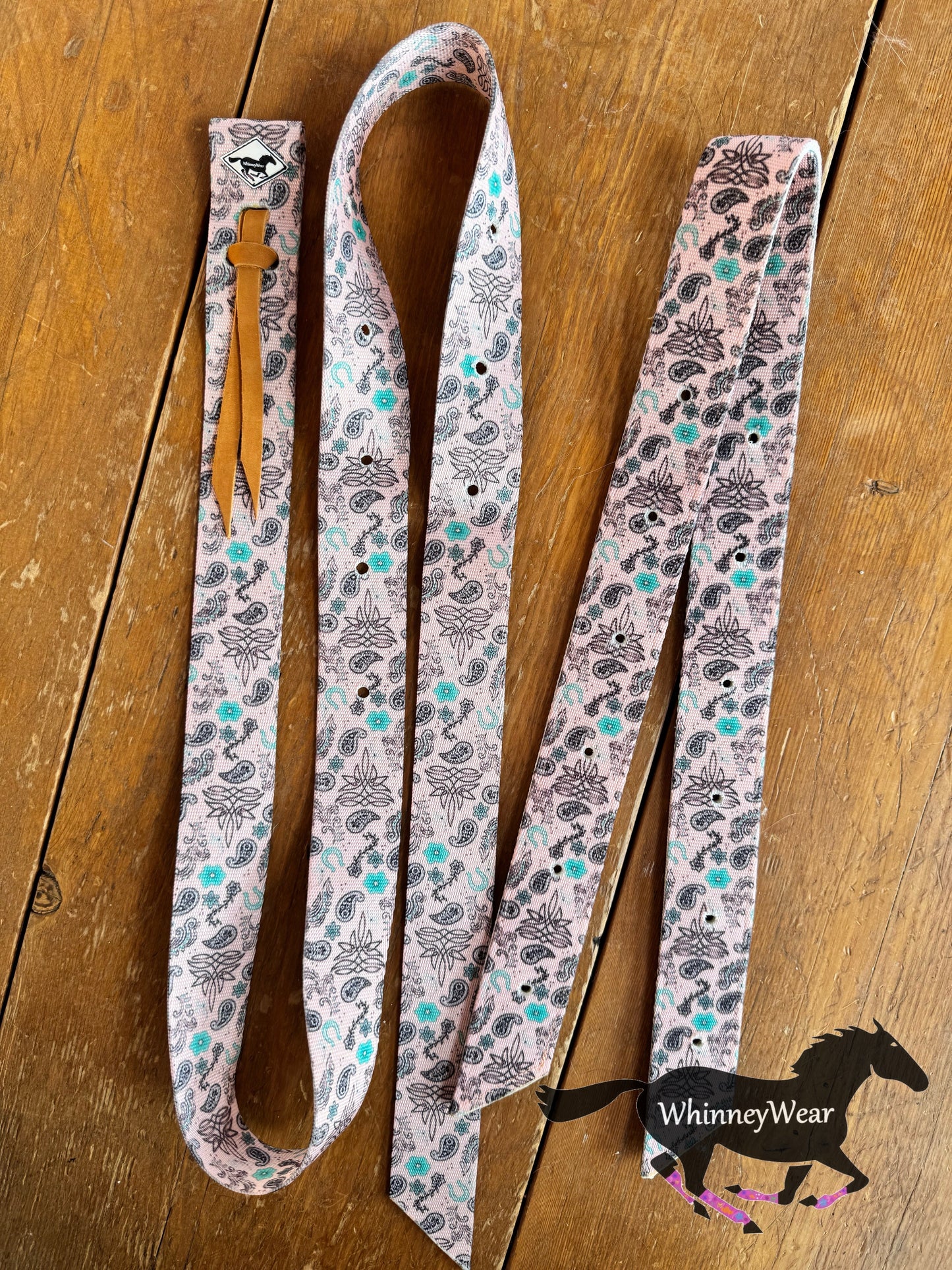 Punchy Paisley Cinch Set