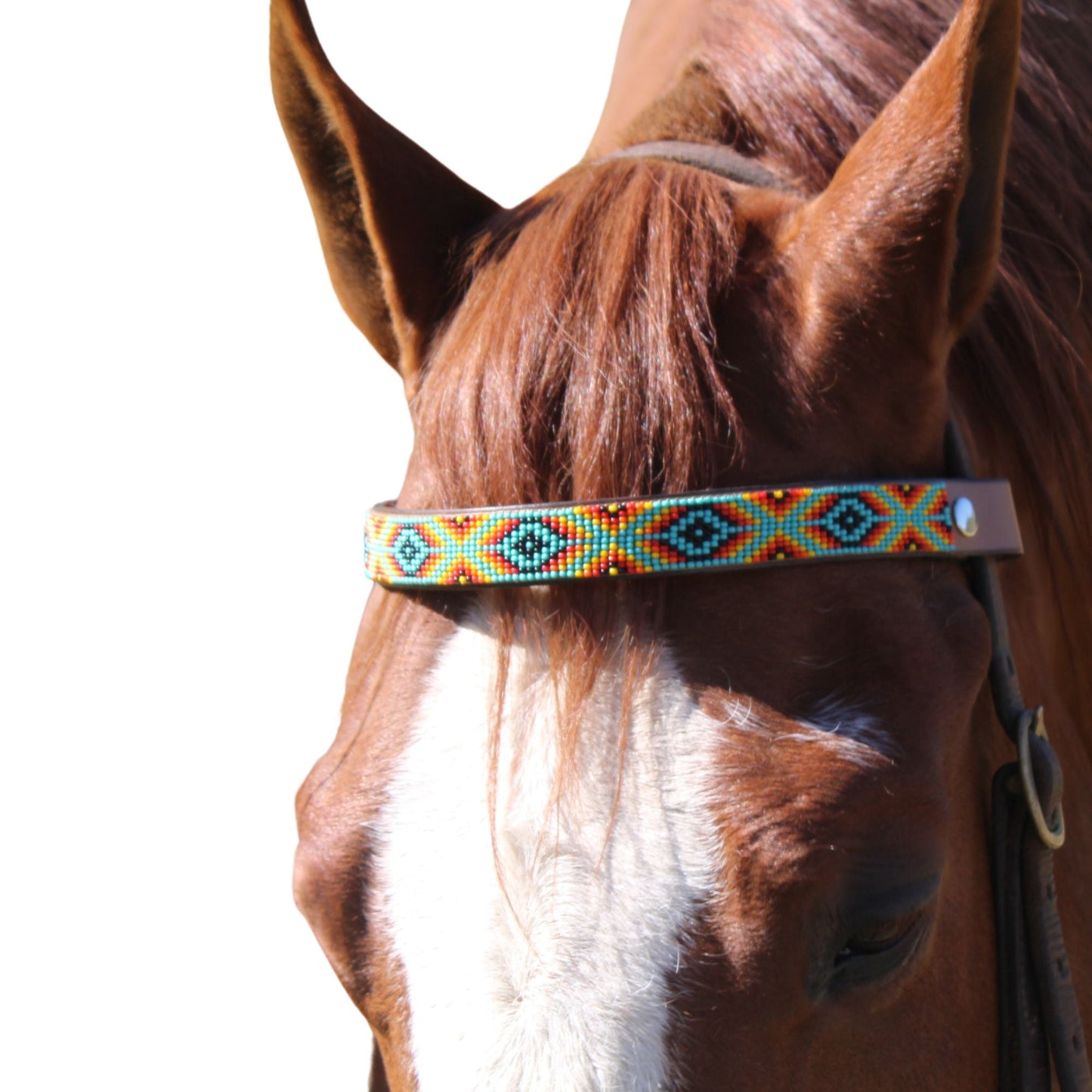 Bahamas Sambboho Horse Browband