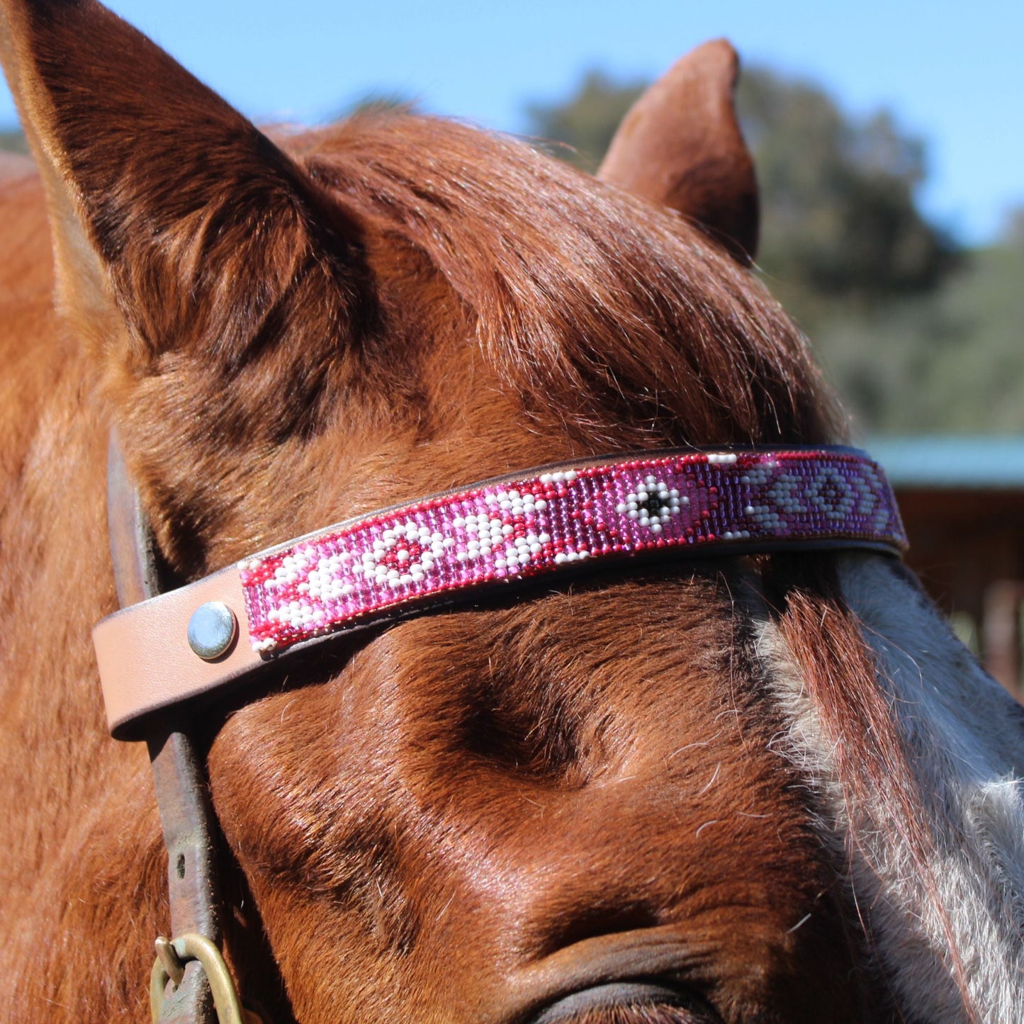 Melrose Sambboho Horse Browband