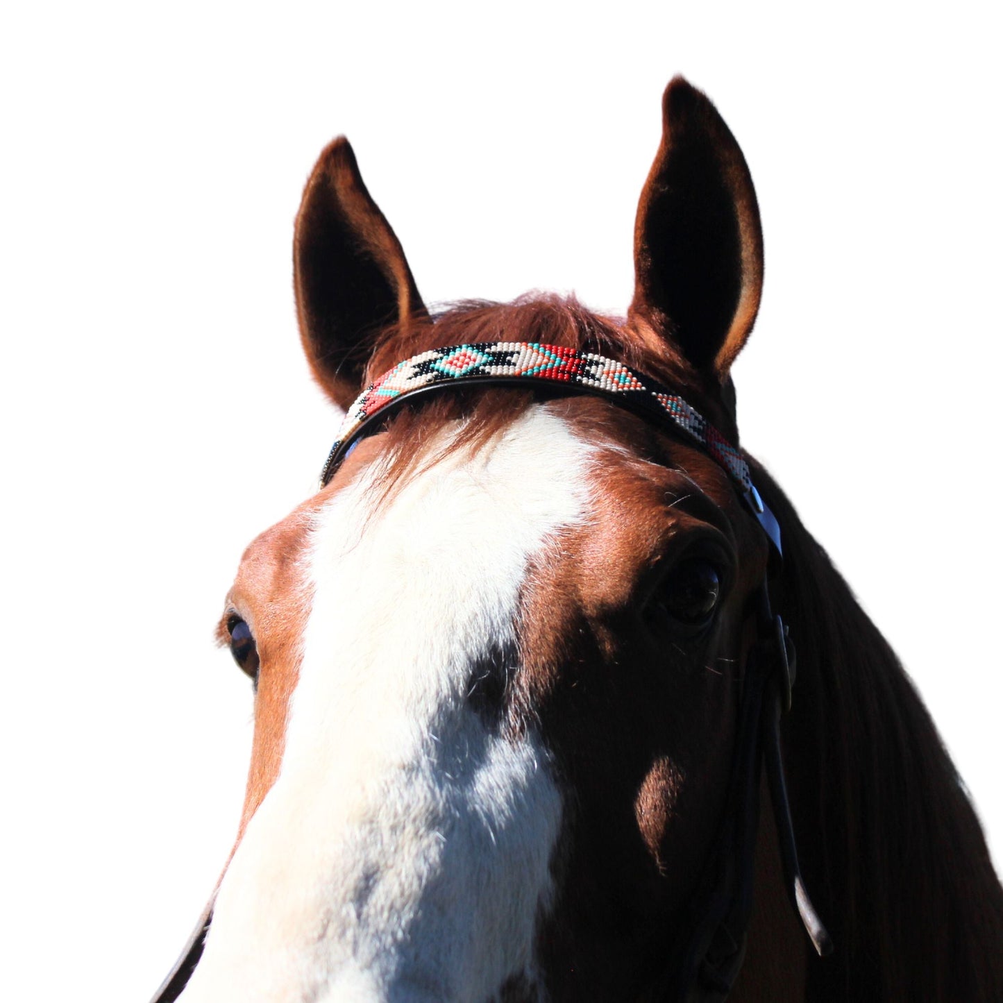 Phoenix Sambboho Horse Browband