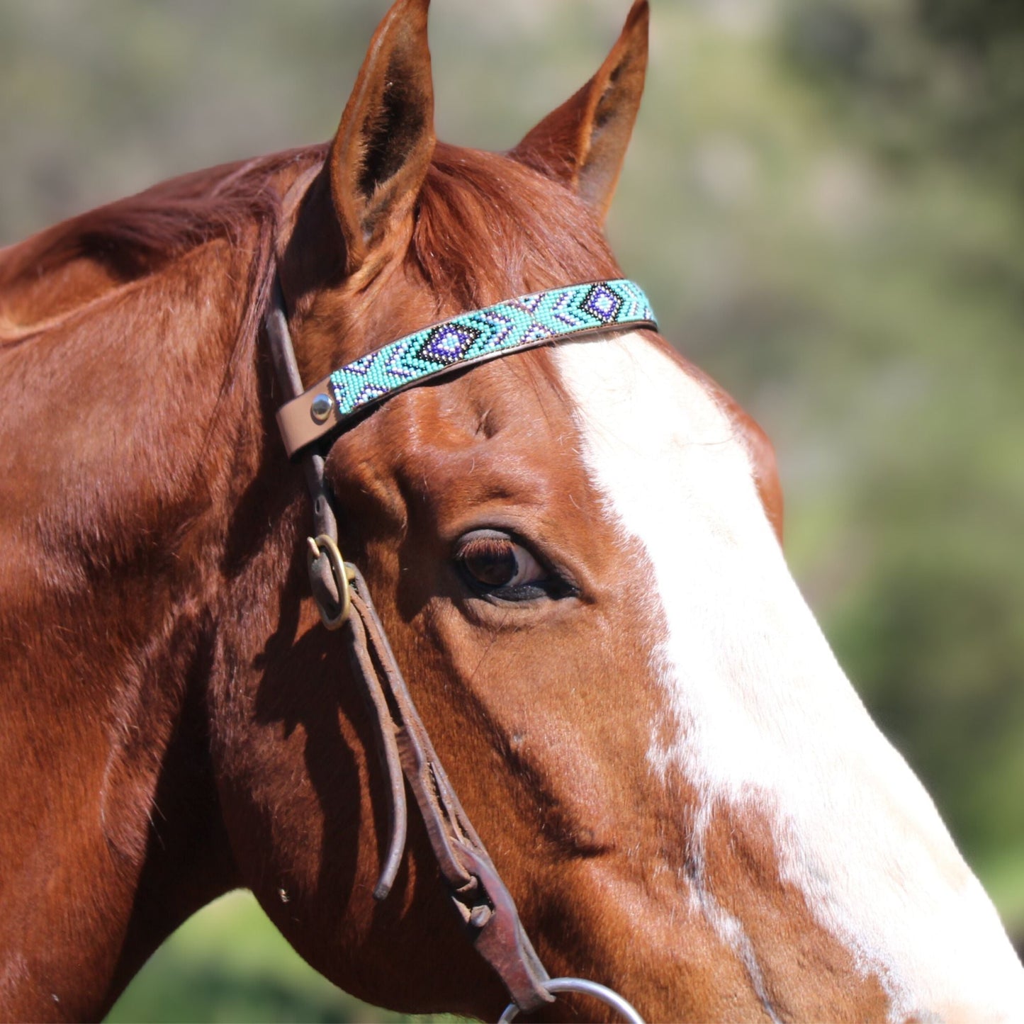 Saint Tropez Sambboho Horse Browband