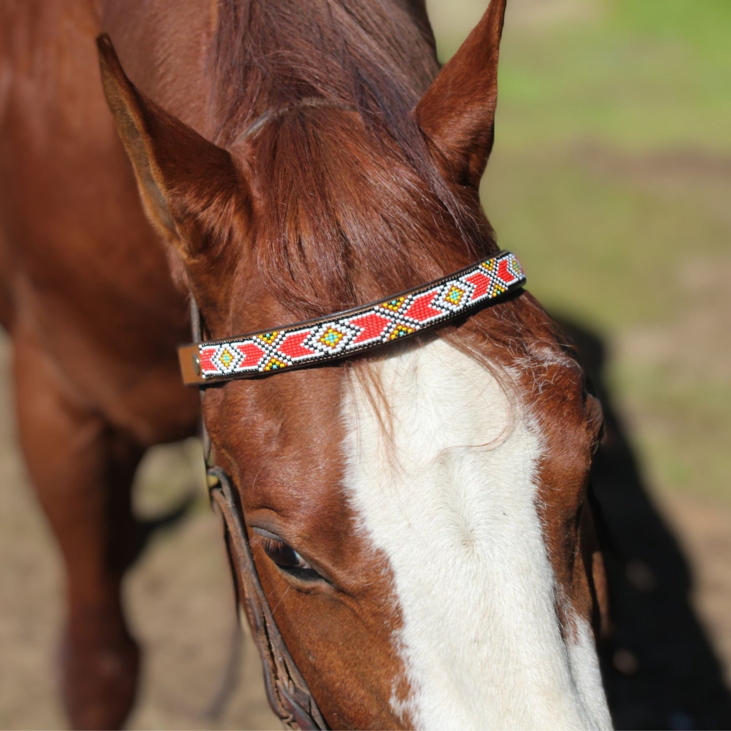 Valencia Sambboho Horse Browband
