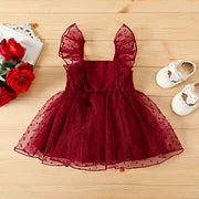 Baby Girl Mesh Dress