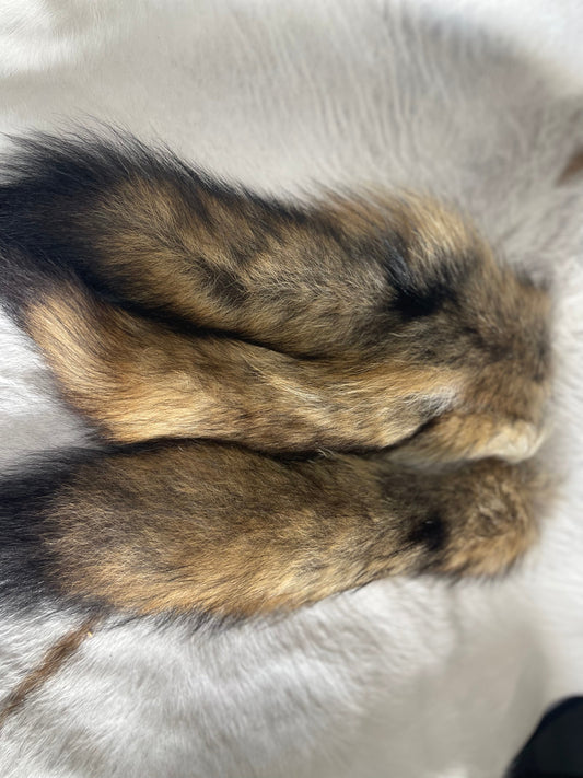 Coyote Tail Keychain