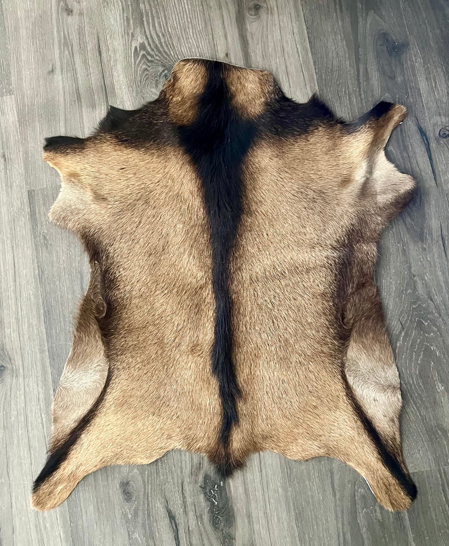 Tan and Black Goat Skin