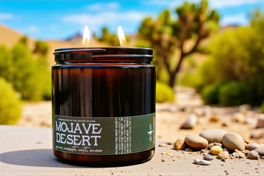 MOJAVE DESERT - Yucca, Creosote & Cacti