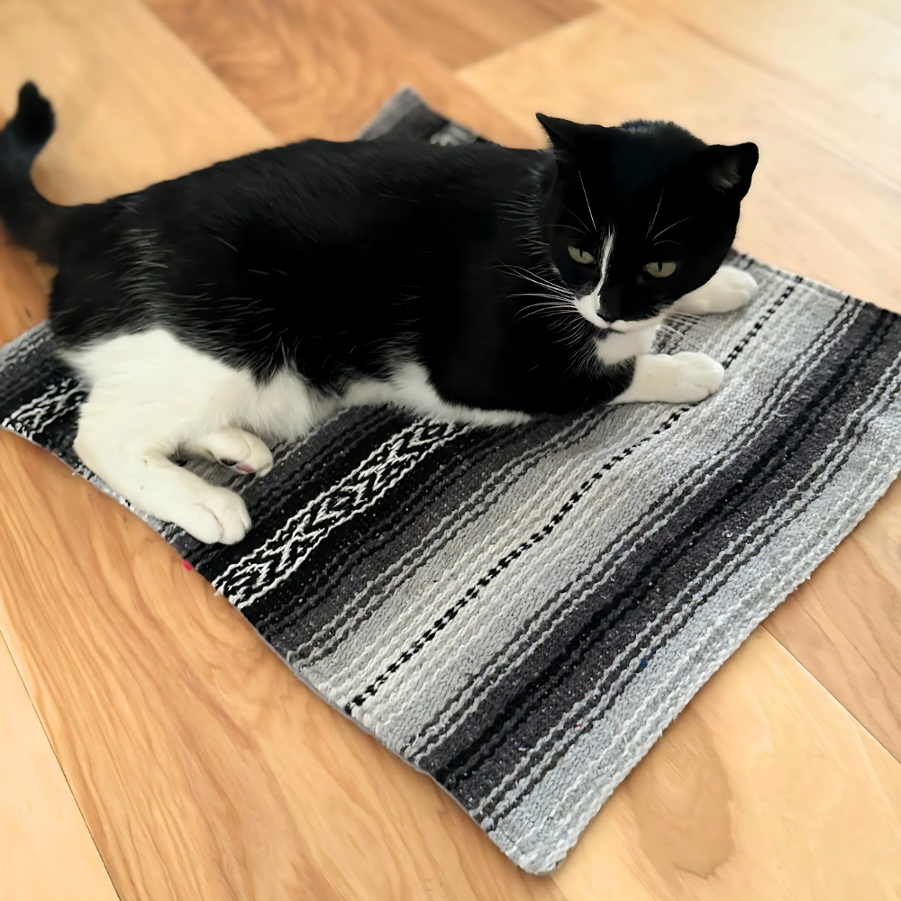 Small Dog Bed / Cat Mat