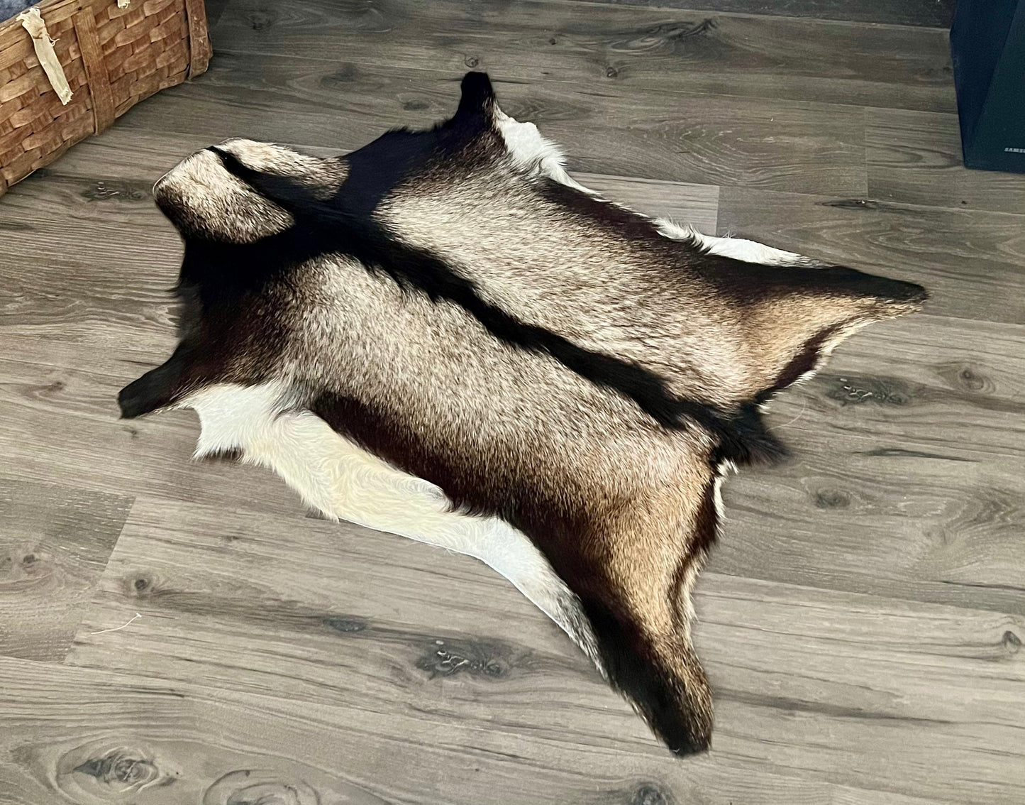 Silver Black and White Goat Skin