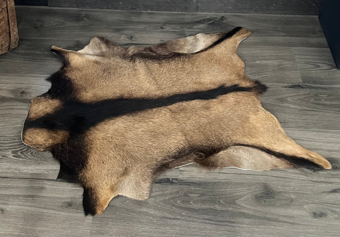 Tan and Black Goat Skin