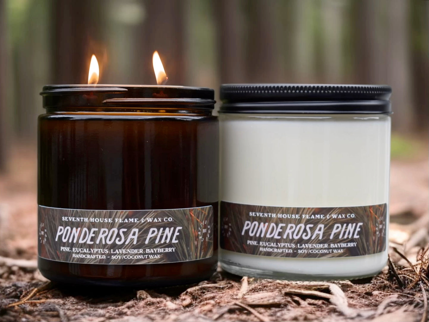 PONDEROSA PINE - Guaicwood & Cedar