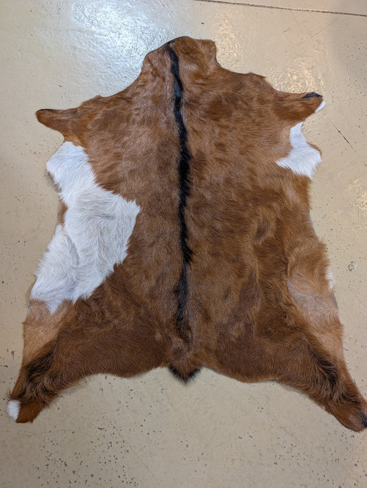 Genuine Goat Hide "Bradshaw"