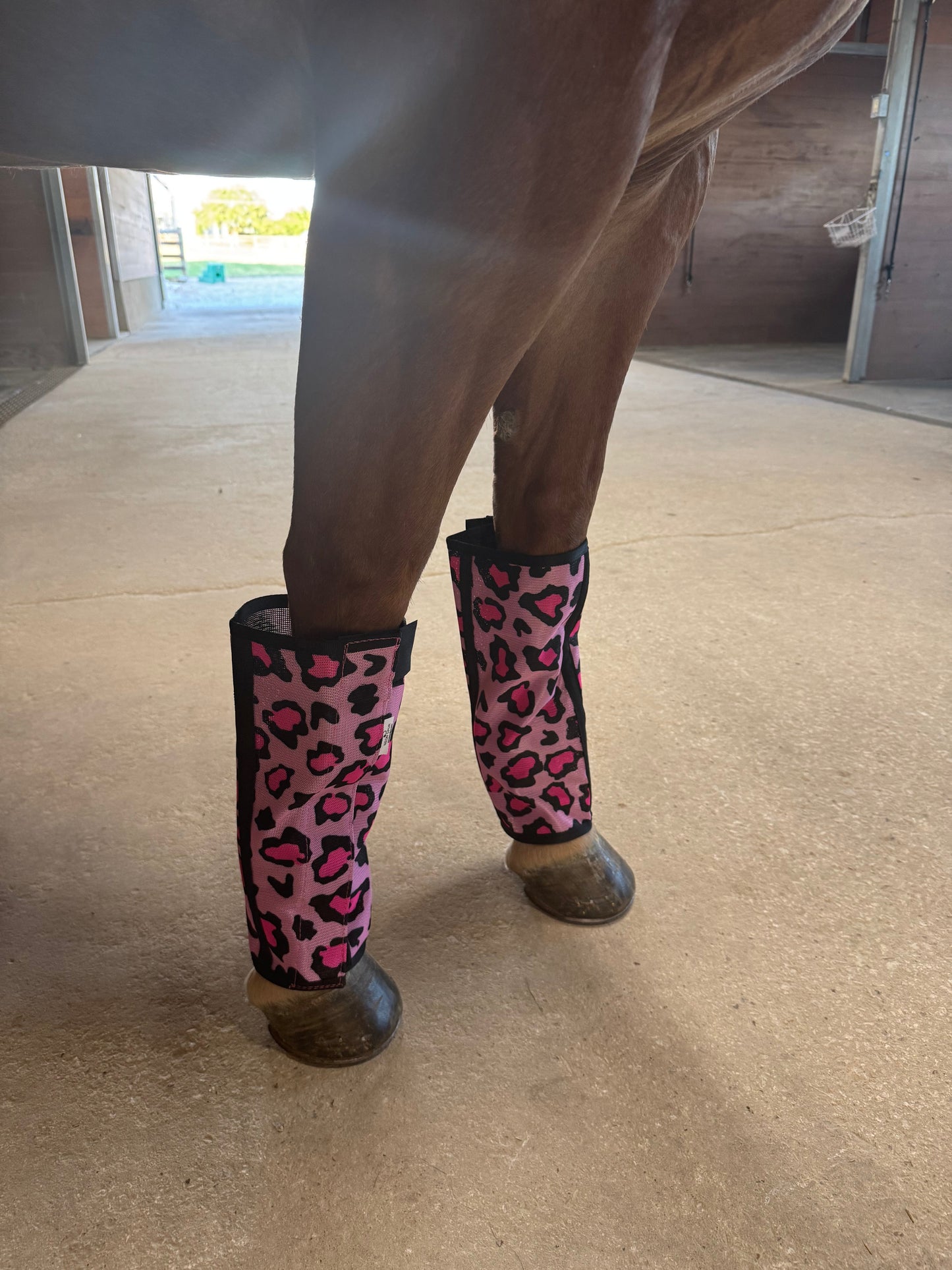 Catty Cowgirl Fly Boot 4-Pack