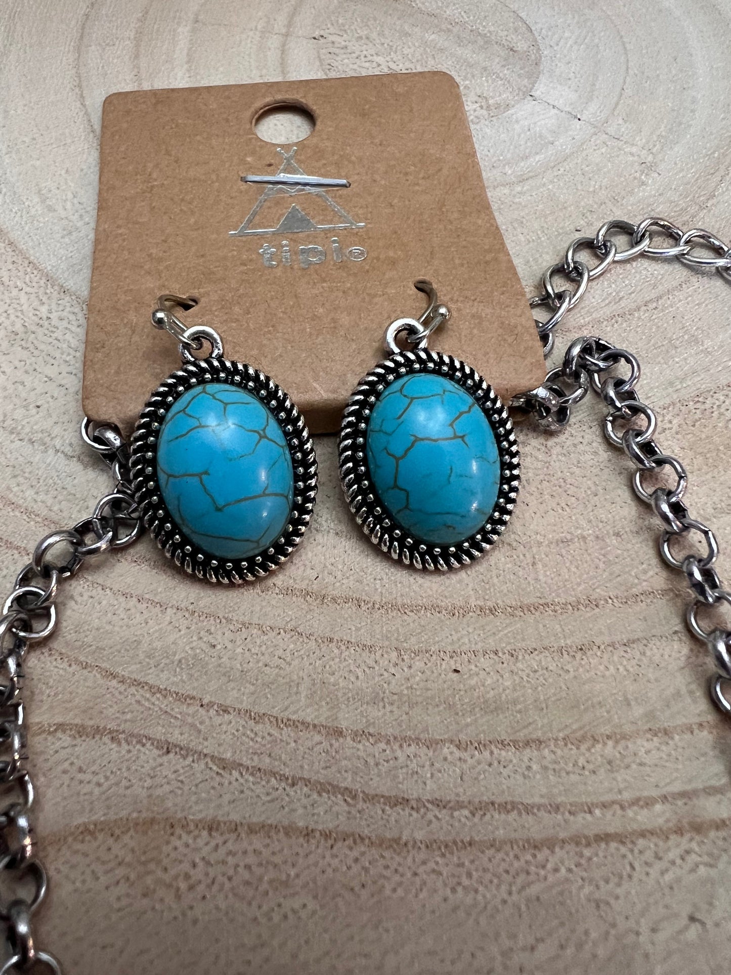 Western Buffalo Coin Faux Lariat Necklace & Earring Set - 26 inch + 3