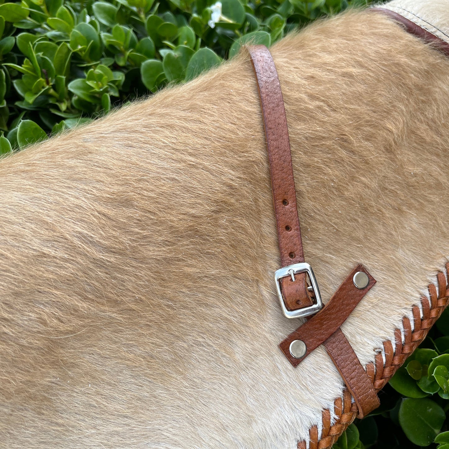 Leather Rifle & Shotgun Scabbard - Beige Cowhair