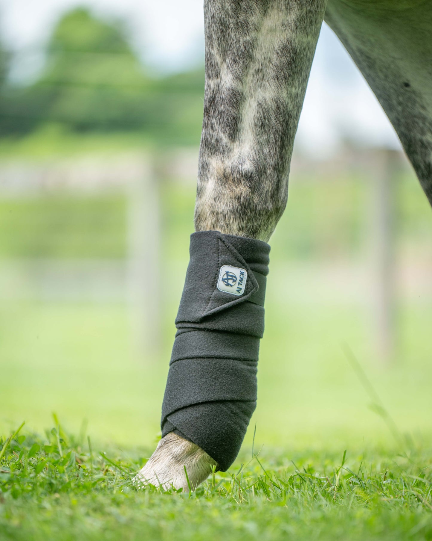 AJ Tack Polo Wraps - 12 ft - Pack of 4