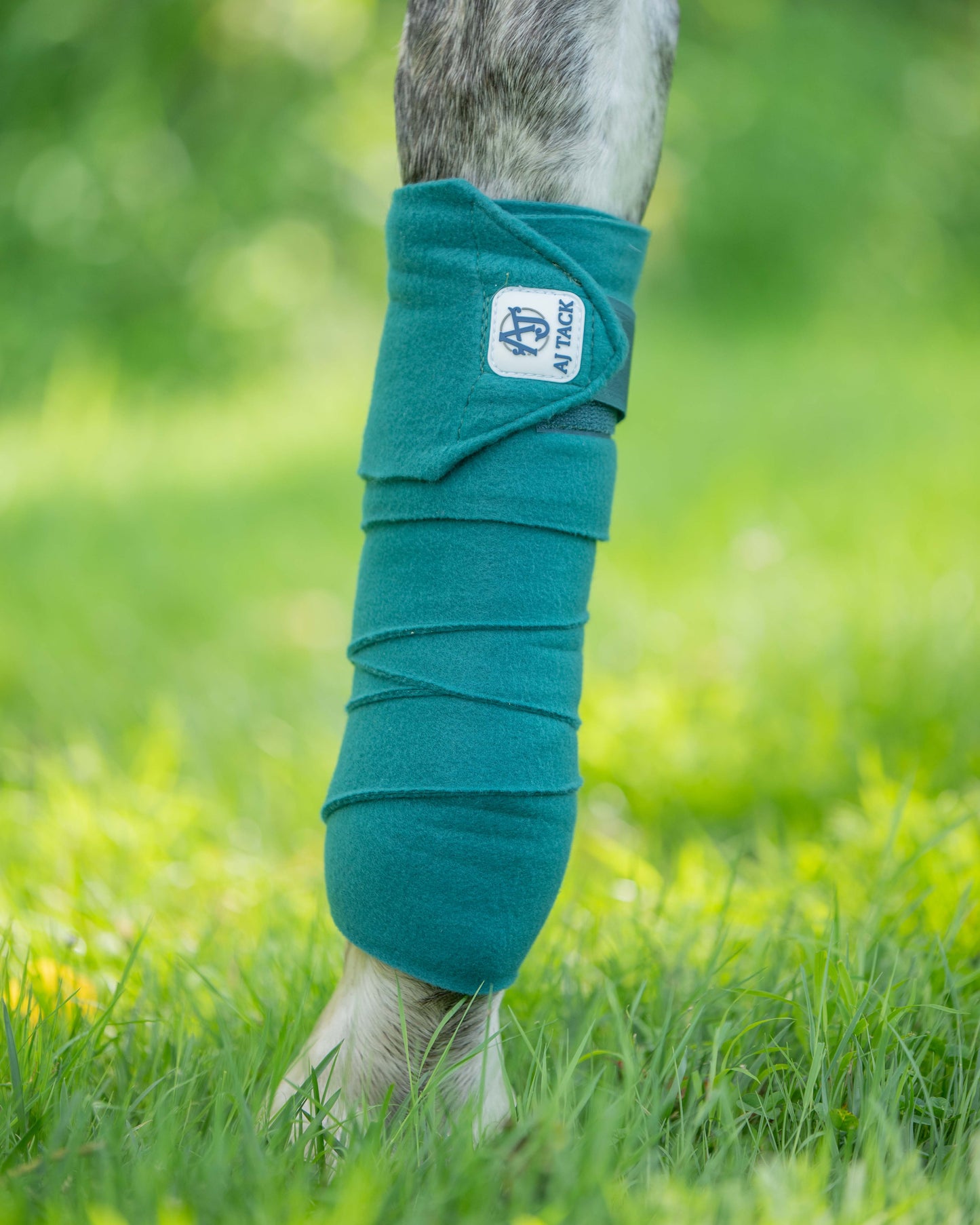 AJ Tack Polo Wraps - 12 ft - Pack of 4