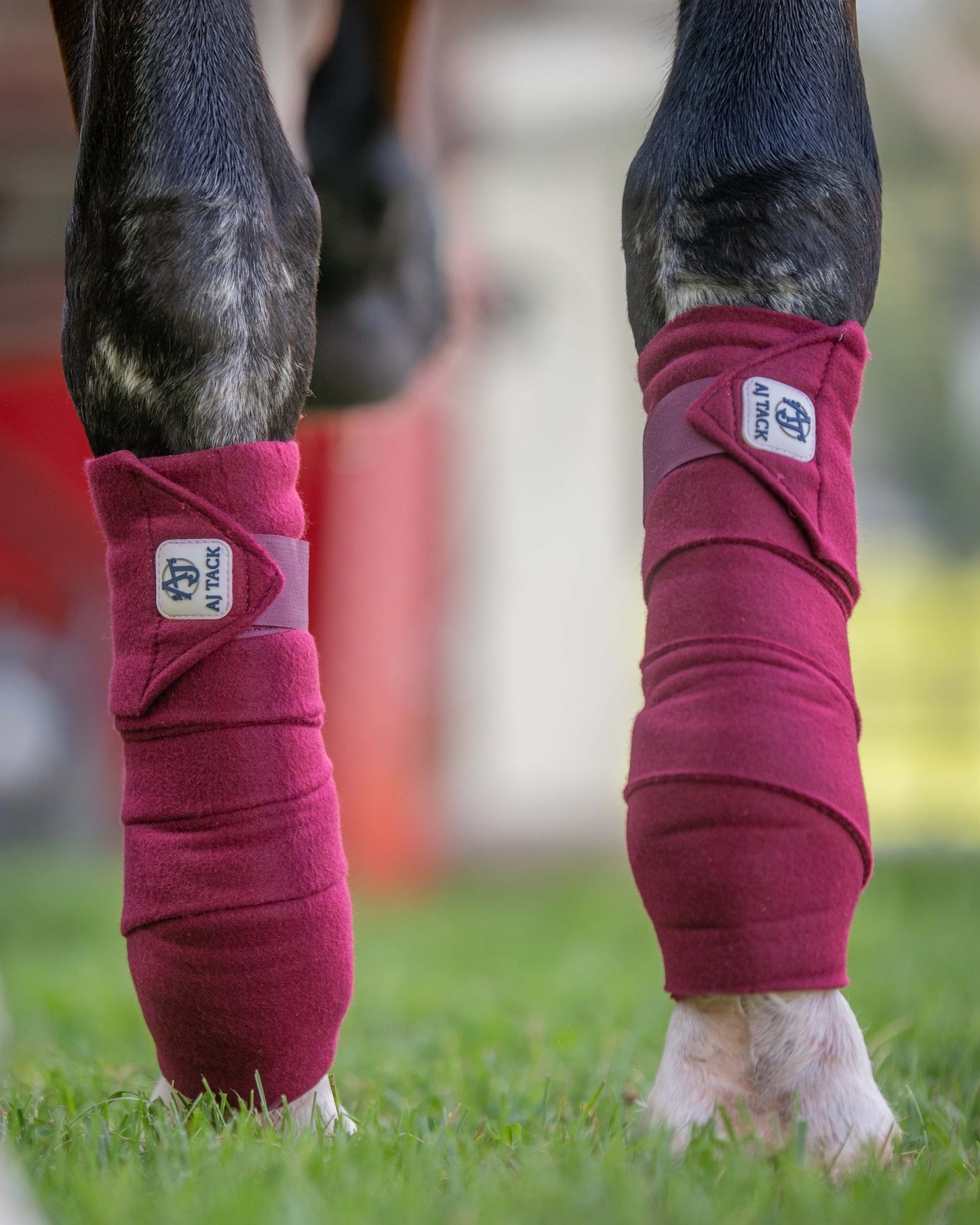 AJ Tack Polo Wraps - 12 ft - Pack of 4