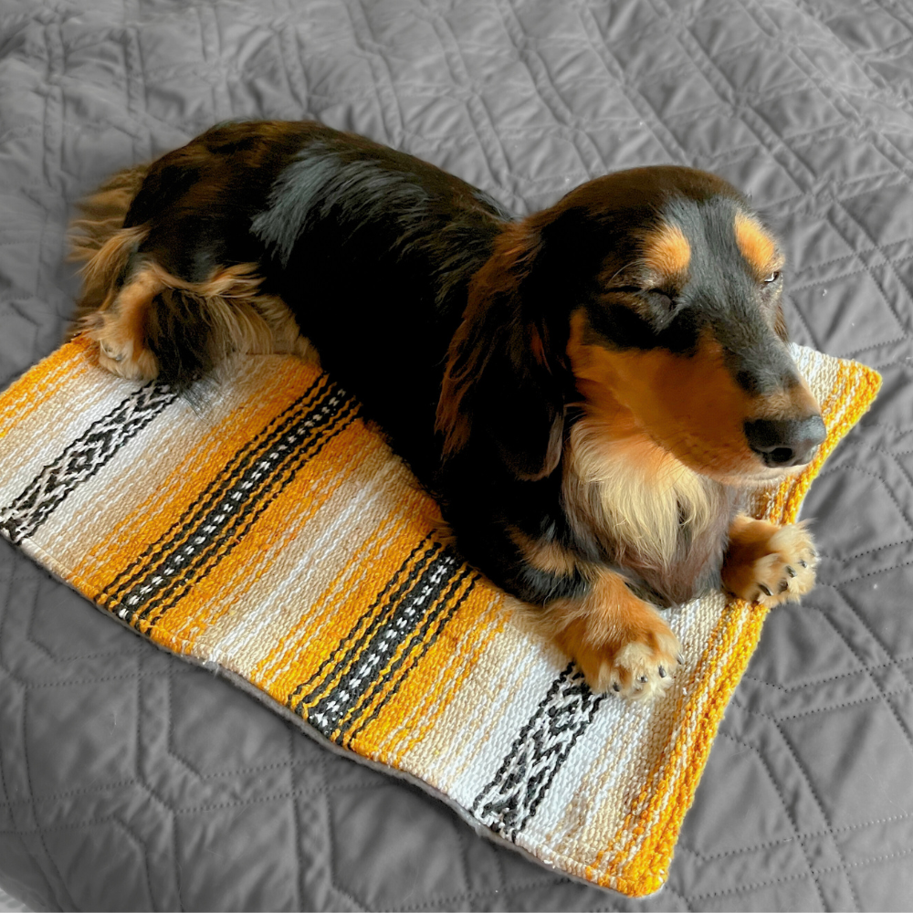 Small Dog Bed / Cat Mat