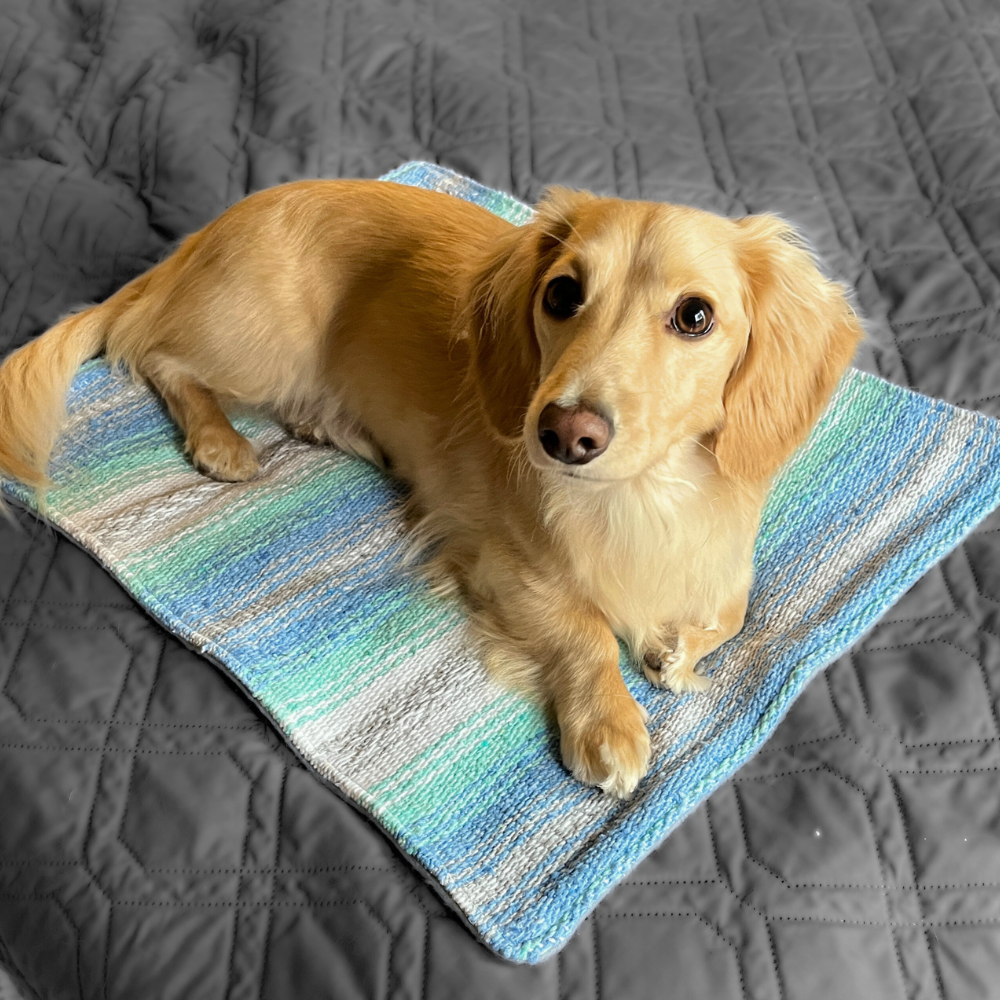 Small Dog Bed / Cat Mat