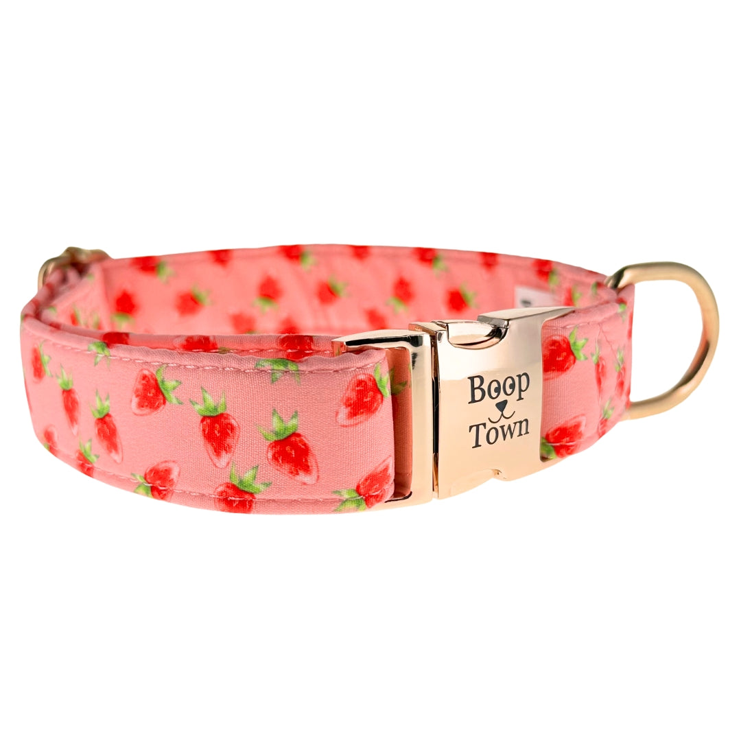 Dog Collars
