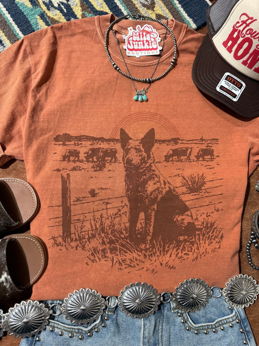 Ollie's Horizon Graphic Tee